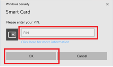 screenshot of the personal identification number entry field